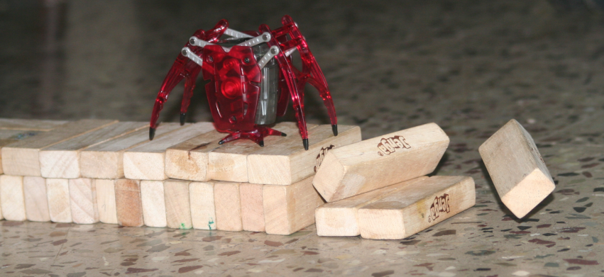 spider2.png