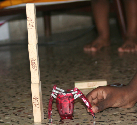 spider4.png
